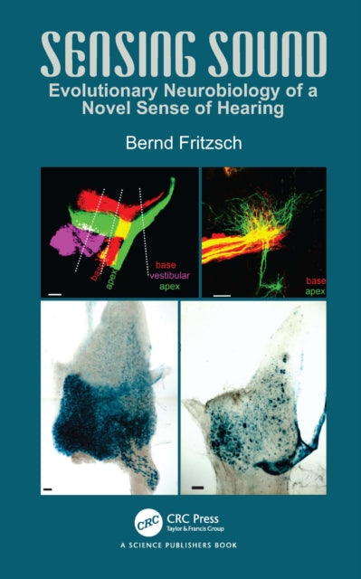 Book cover of: Sensing Sound