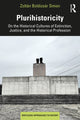 Book cover of: Plurihistoricity