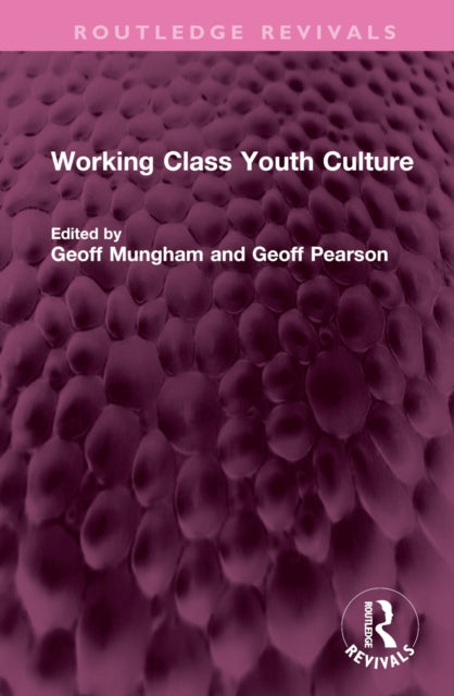 Book cover of: Working Class Youth Culture. By: Geoff Mungham