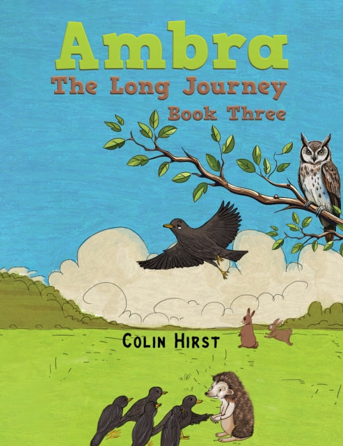 Book cover of: Ambra: The Long Journey. By: Colin Hirst