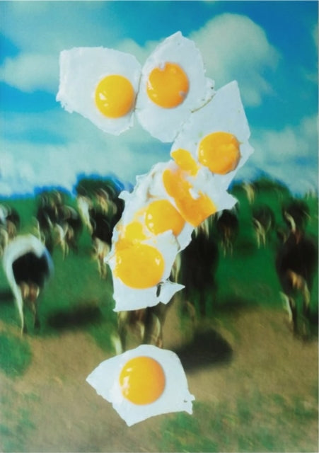 Book cover of: Who the fuck is Henry Gorse?!