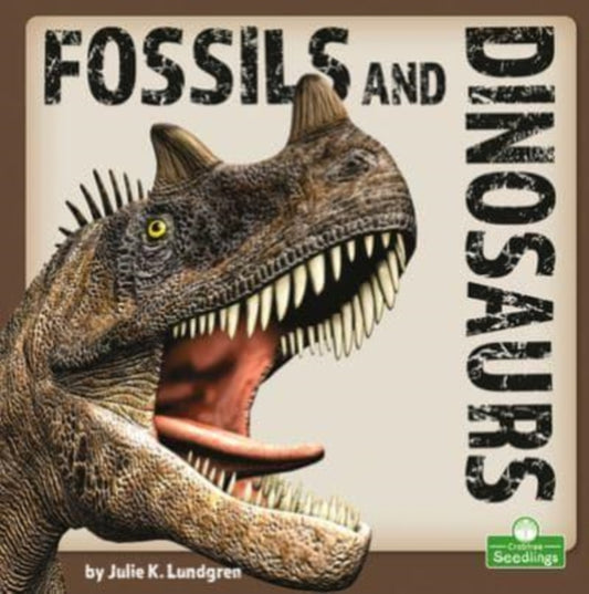Book cover of: Fossils and Dinosaurs. By: Julie K. Lundgren