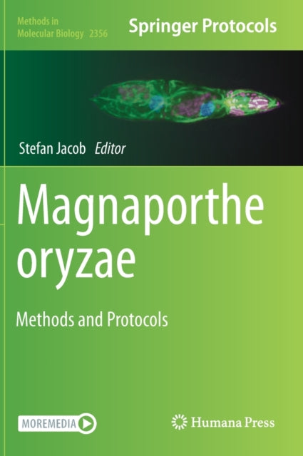 Book cover of: Magnaporthe oryzae. By: Stefan Jacob