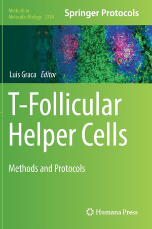 T-Follicular Helper Cells