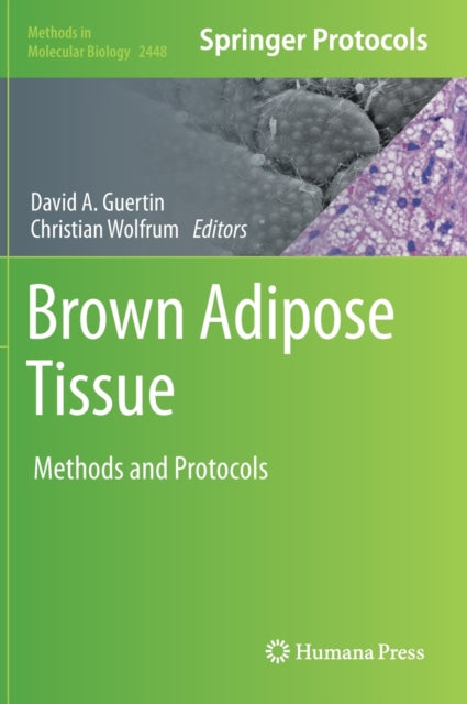 Book cover of: Brown Adipose Tissue. By: David A. Guertin