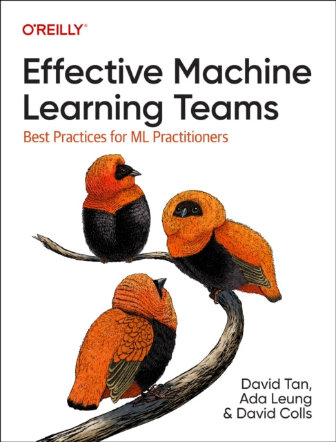 Book cover of: Effective Machine Learning Teams. By: David Tan