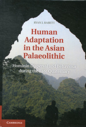 Human Adaptation in the Asian Palaeolithic