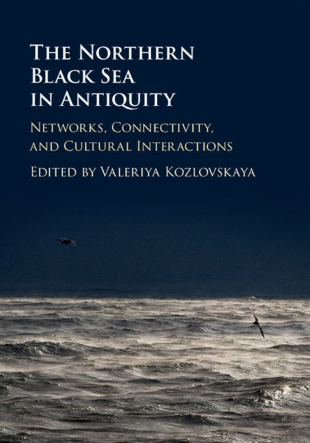 Book cover of: Northern Black Sea in Antiquity. By: Valeriya Kozlovskaya