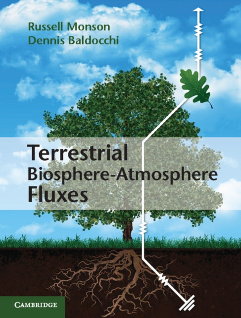 Book cover of: Terrestrial Biosphere-Atmosphere Fluxes