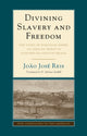 Book cover of: Divining Slavery and Freedom. By: João José Reis