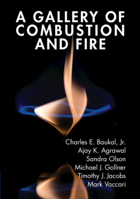 Book cover of: Gallery of Combustion and Fire. By: Baukal, Charles, Jr.