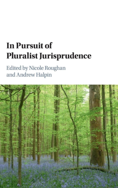 Book cover of: In Pursuit of Pluralist Jurisprudence. By: Nicole Roughan