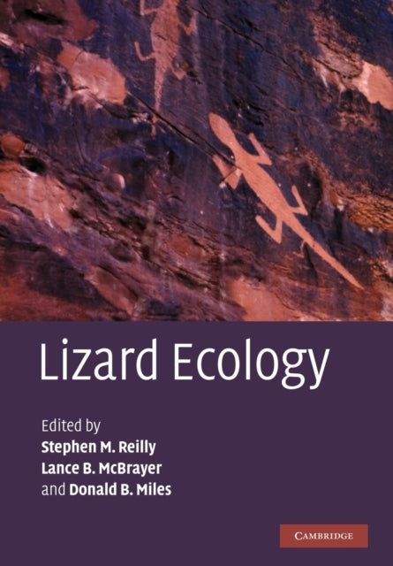 Book cover of: Lizard Ecology. By: Stephen M. Reilly