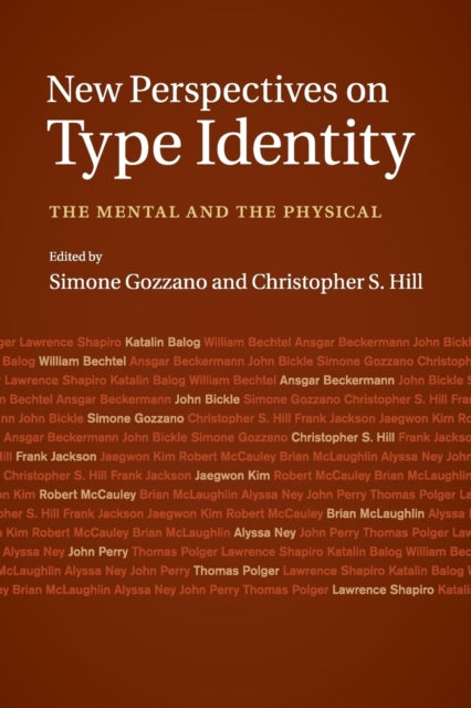 Book cover of: New Perspectives on Type Identity. By: Simone Gozzano