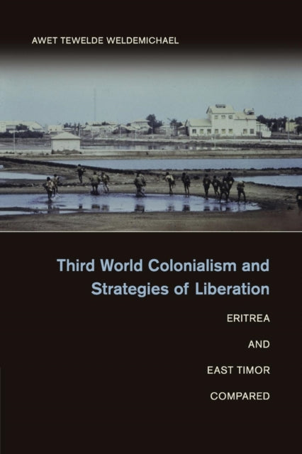 Book cover of: Third World Colonialism and Strategies of Liberation. By: Awet Tewelde Weldemichael