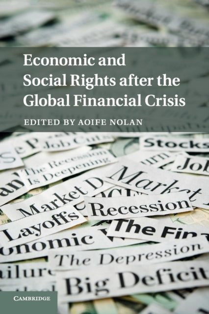 Book cover of: Economic and Social Rights after the Global Financial Crisis. By: Aoife Nolan