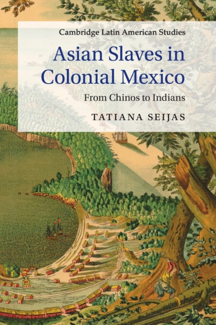 Book cover of: Asian Slaves in Colonial Mexico. By: Tatiana Seijas