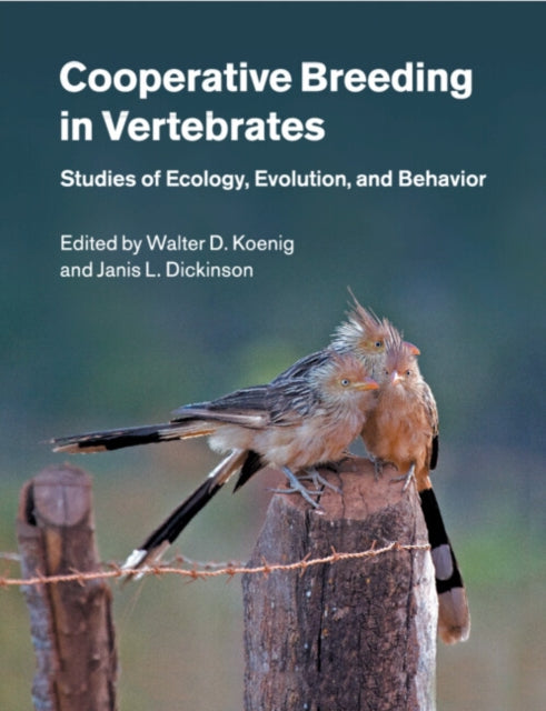 Book cover of: Cooperative Breeding in Vertebrates. By: Koenig