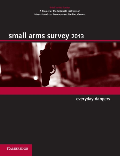 Book cover of: Small Arms Survey 2013