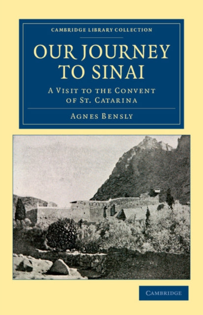 Our Journey to Sinai