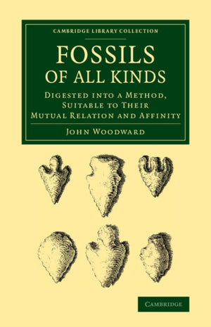 Fossils of All Kinds