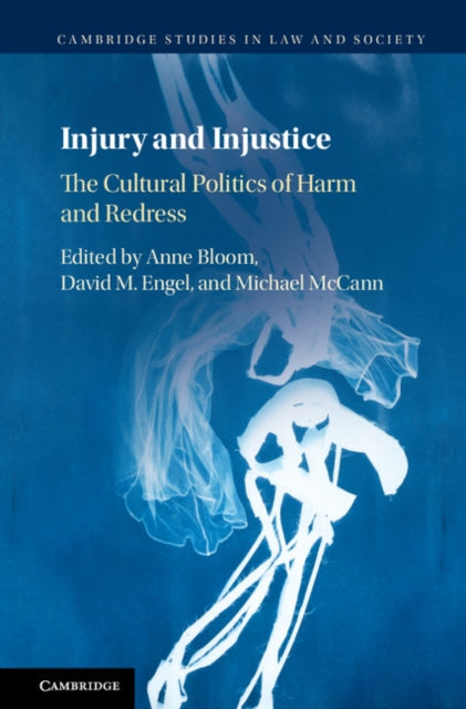 Book cover of: Injury and Injustice