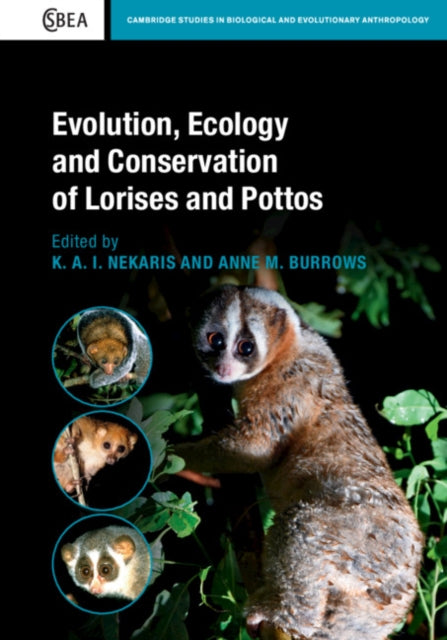 Book cover of: Evolution, Ecology and Conservation of Lorises and Pottos. By: K. A. I. Nekaris