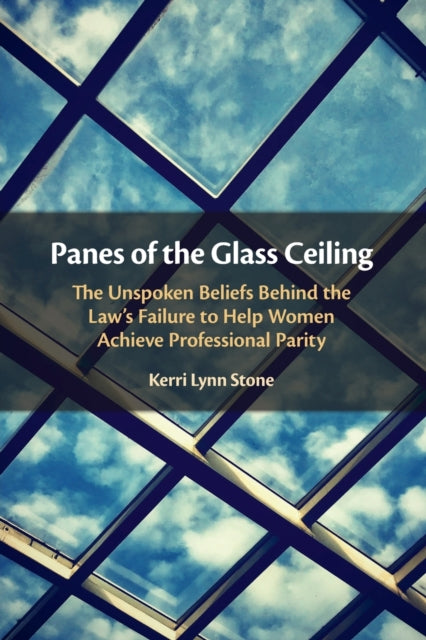 Book cover of: Panes of the Glass Ceiling. By: Kerri Stone