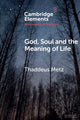 Book cover of: God, Soul and the Meaning of Life. By: Thaddeus Metz