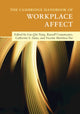 Book cover of: Cambridge Handbook of Workplace Affect. By: Liu-Qin Yang