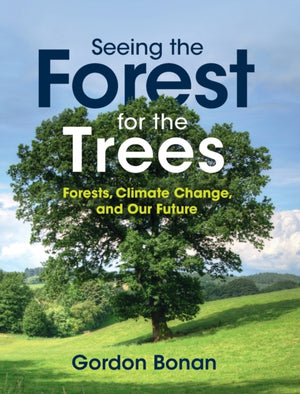 Seeing the Forest for the Trees