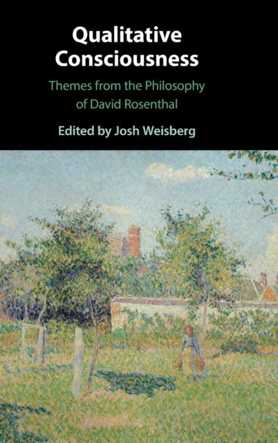 Book cover of: Qualitative Consciousness. By: Josh Weisberg