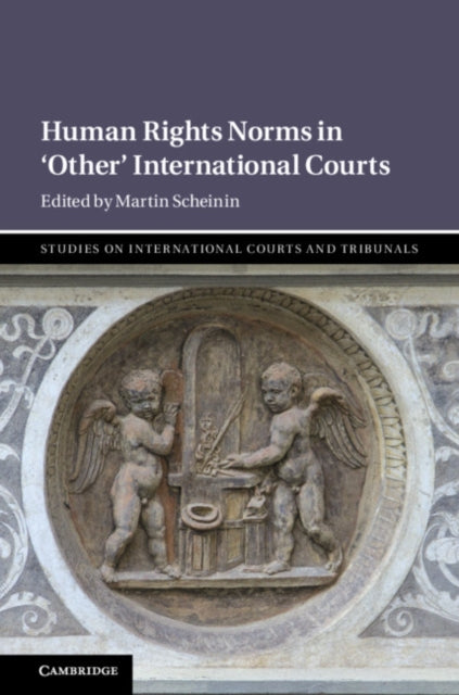 Book cover of: Human Rights Norms in ‘Other' International Courts. By: Martin Scheinin