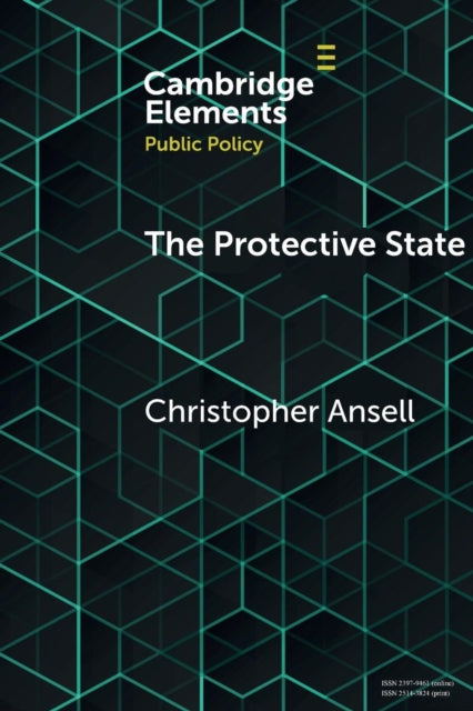 The Protective State