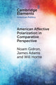 Book cover of: American Affective Polarization in Comparative Perspective. By: Noam Gidron
