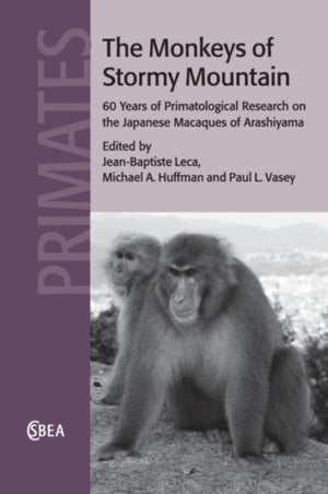 Monkeys of Stormy Mountain
