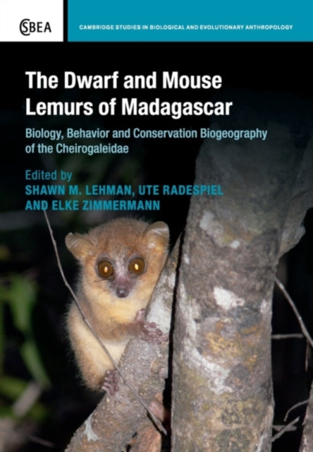 Book cover of: Dwarf and Mouse Lemurs of Madagascar. By: Shawn M. Lehman