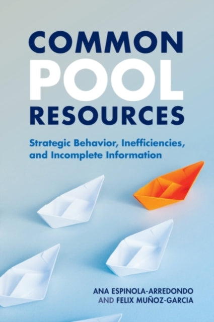 Book cover of: Common Pool Resources. By: Ana Espinola-Arredondo