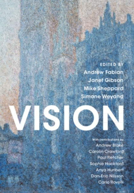 Book cover of: Vision. By: Mike Sheppard