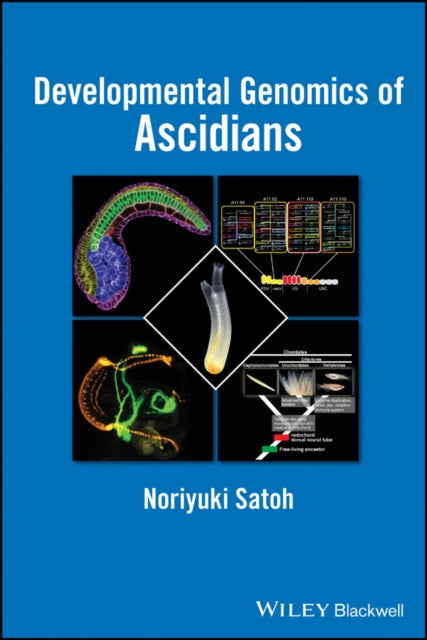 Book cover of: Developmental Genomics of Ascidians