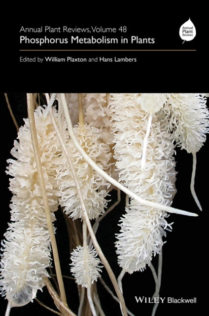 Book cover of: Annual Plant Reviews, Phosphorus Metabolism in Plants