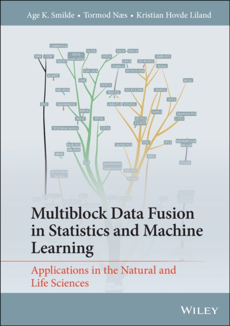 Book cover of: Multiblock Data Fusion in Statistics and Machine Learning. By: Age Smilde