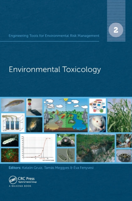 Book cover of: Engineering Tools for Environmental Risk Management. By: Katalin Gruiz