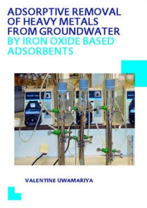 Adsorptive Removal of Heavy Metals from Groundwater by Iron Oxide Based Adsorbents