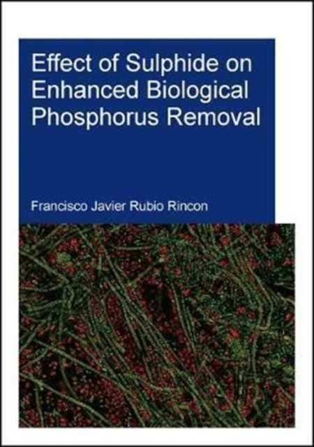 Book cover of: Effect of Sulphide on Enhanced Biological Phosphorus Removal. By: Francisco Rubio-Rincon