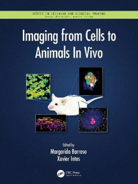 Book cover of: Imaging from Cells to Animals In Vivo. By: Margarida Barroso
