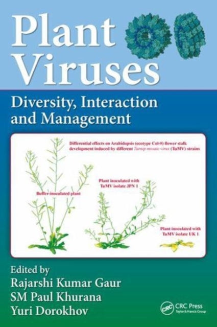 Book cover of: Plant Viruses. By: Rajarshi Kumar Gaur