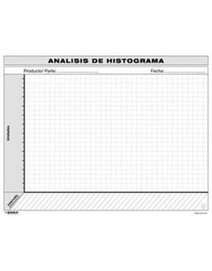VSM Histogram Analysis (Spanish)