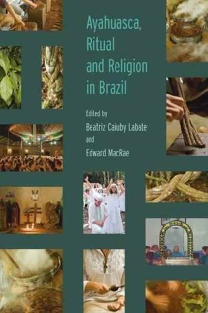 Book cover of: Ayahuasca, Ritual and Religion in Brazil. By: Beatriz Caiuby Labate