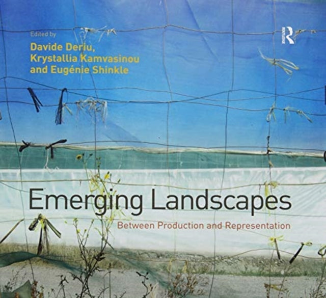 Book cover of: Emerging Landscapes. By: Davide Deriu